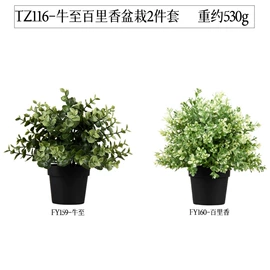 盆景;仿真绿植;盆栽