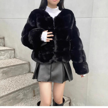 羳ﶬ¿ӺºëƤëһwp|hƤ״Ů