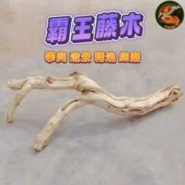爬宠虫造景藤木霸王树栖装饰沉枯鬃狮蜥蜴睫角豹纹肥尾守宫晒背台