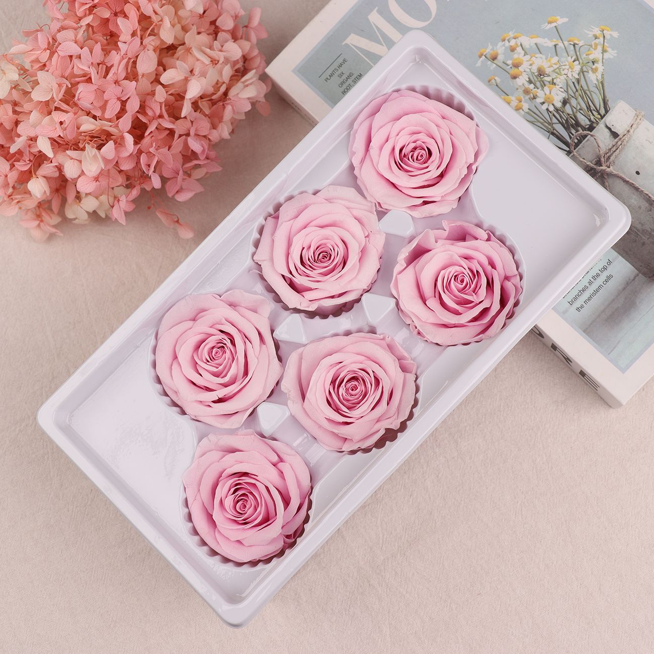 Rosa Preservada A+ de 5-6 cm, Flor Real Seca, Regalo DIY, Venta al por Mayor de Yunnan, Ramo para el Día de la Madre, 520