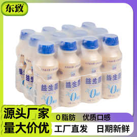 东致乳酸菌饮料原味益生菌饮品厂家直供早餐奶现货批发340ml*12