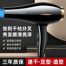 ���L���o�����L�C�����������ؓ�x�Ӱl�ȴ��LͲ�������l늴��L