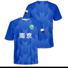 江苏2025城市足球联赛苏超球迷短袖南京应援服运动上衣T恤速发