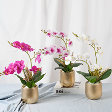 ���c�YƷPU�����m����ֲ�������������l�Ҿӿ͏d�Ƶ�ǰ̨�b[��