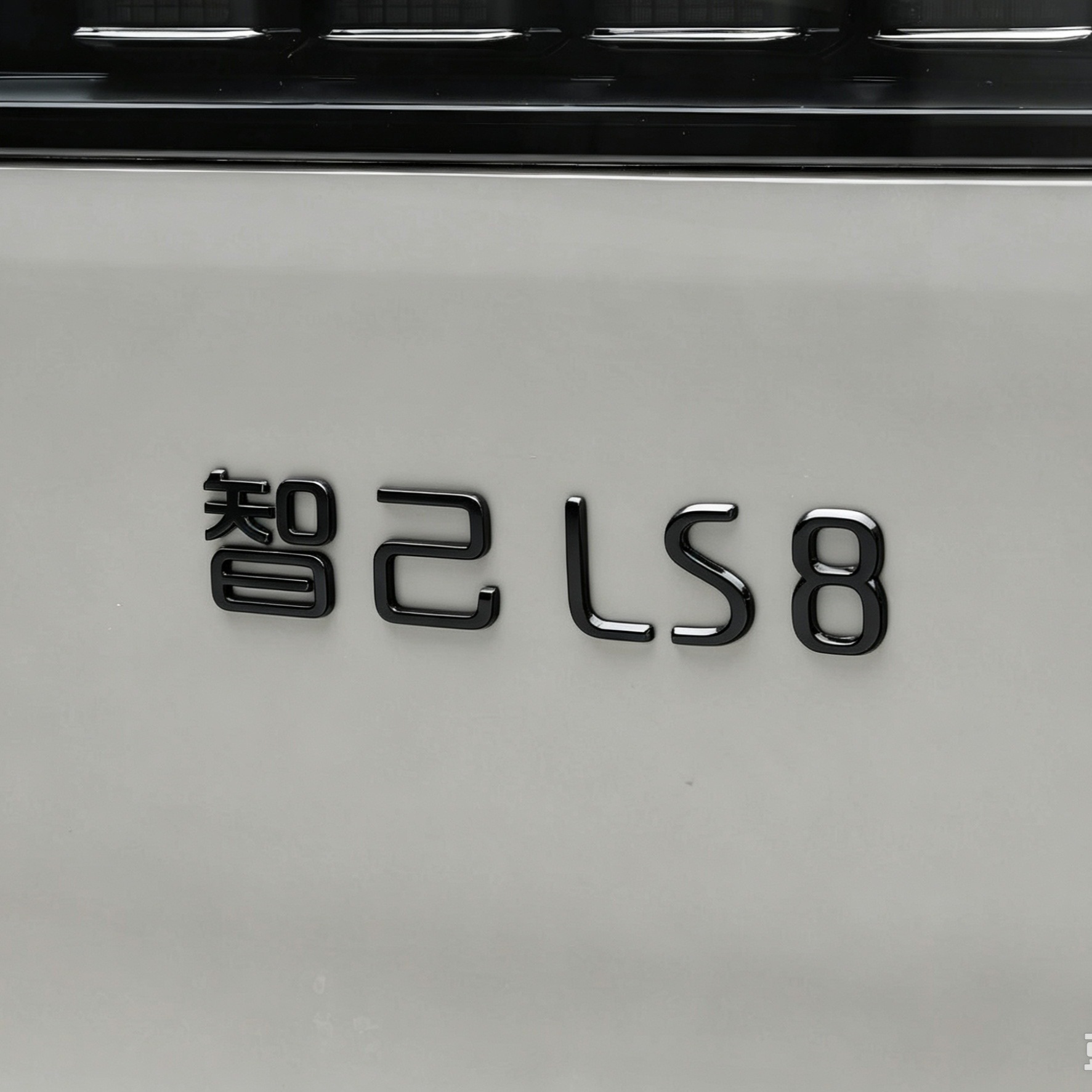 Suitable for Zhiji LS8 LS9 front and rear car emblems, Black Warrior modification upgrade personalized car emblem decorative stickers