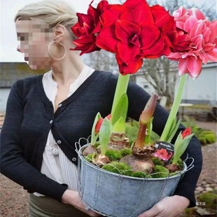 �M���ش���피t�ذ�N���ļ��_��ͥԺ�̨���Ի��ܴ�ȫ�B����