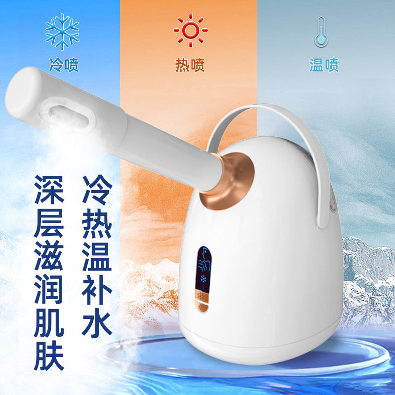 Cool and Hot Dual Spray Steam Face Machine Nano Ultrafine Mist Facial Hydrator Home Face Steamer Moisturizing Beauty Device