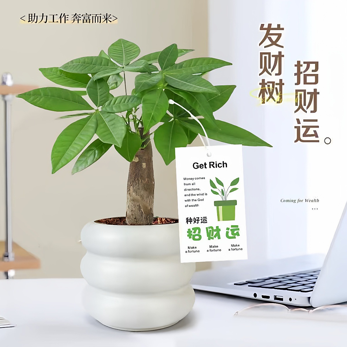详情图