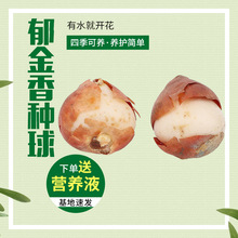 Nˮඬ҃ˮB㻨ܷNӮ_