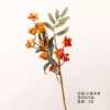 Yellow-Bring Ye Dongqing