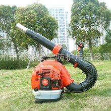 ������6MF-2.0-53(G880) ����ʽ������������ĳ�̴��ʴ���