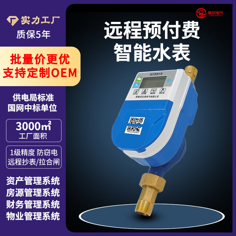 定制智能水表手机充值远程预付费水表电表出租房公寓蓝牙水表电表