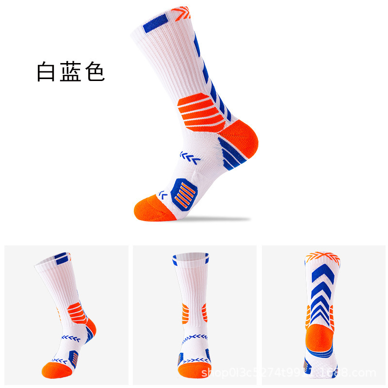 화이트 블루