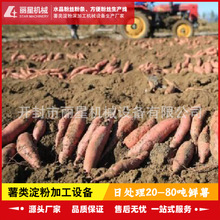 �Ԅӻ��t���������a�O�䡢�_�����Ǽt����ۙCе���ծa10���ɵ���