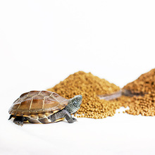 中华奇趣小宠淡水甲鱼巴西龟草龟饲料高蛋白小颗粒龟粮养殖户推荐