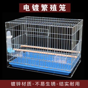 ��Ƥ�W�^�B�\�д�����ĵ�����P�˸�Ӵַ�ֳ�B�\���Bֳ��̖��