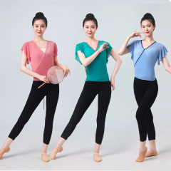 北舞专业古典舞纱衣身韵新款服装水钻练功服长袖上衣艺考基训团服