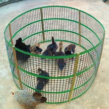 ���ۯB��ͥ�B�u�o��С�u���Z�ù��Ƅ��u�\�u�������z�W�u�\��ֱ�N