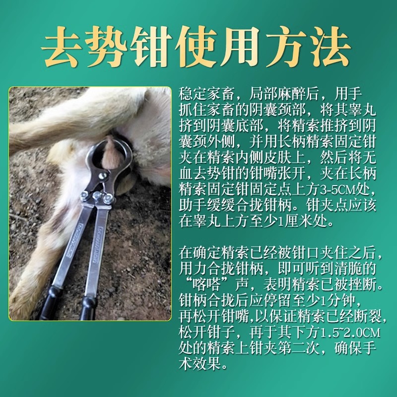 Alicates de castracion veterinaria alicates de castracion de cerdos, vacas y ovejas alicates de acero inoxidable alicates de ventilador de ovejas alicates de castracion de ovejas abrazadera de huevo de castracion de cerdo