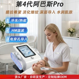 电子美容仪;其他美体瘦身;商用美容仪