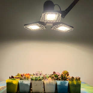 Plant Growth Light Source Led Full Spectrum Succulent Lamp Planting Lamp Household Coloring Anti-Stunting Plant Fill Light Stand