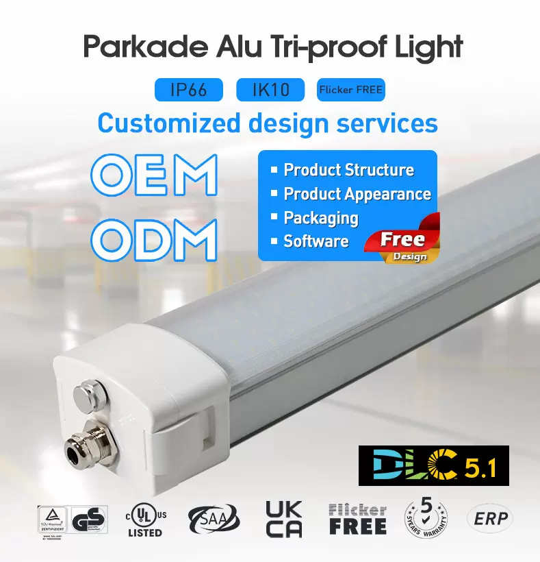 定制欧规出口标准20w30w40w50w60wIP65铝合金LED应急三防灯防爆