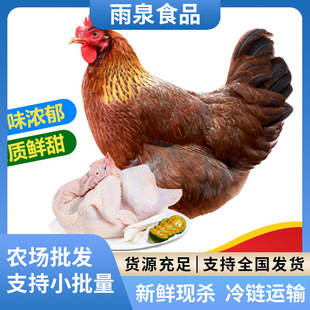 ���h�u Դ�^�����S��ֱ�� �V�|�������h�u