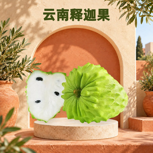 �����ȹ� һ�����l1/2/3/5��С���й��������֦�r�����rˮ��