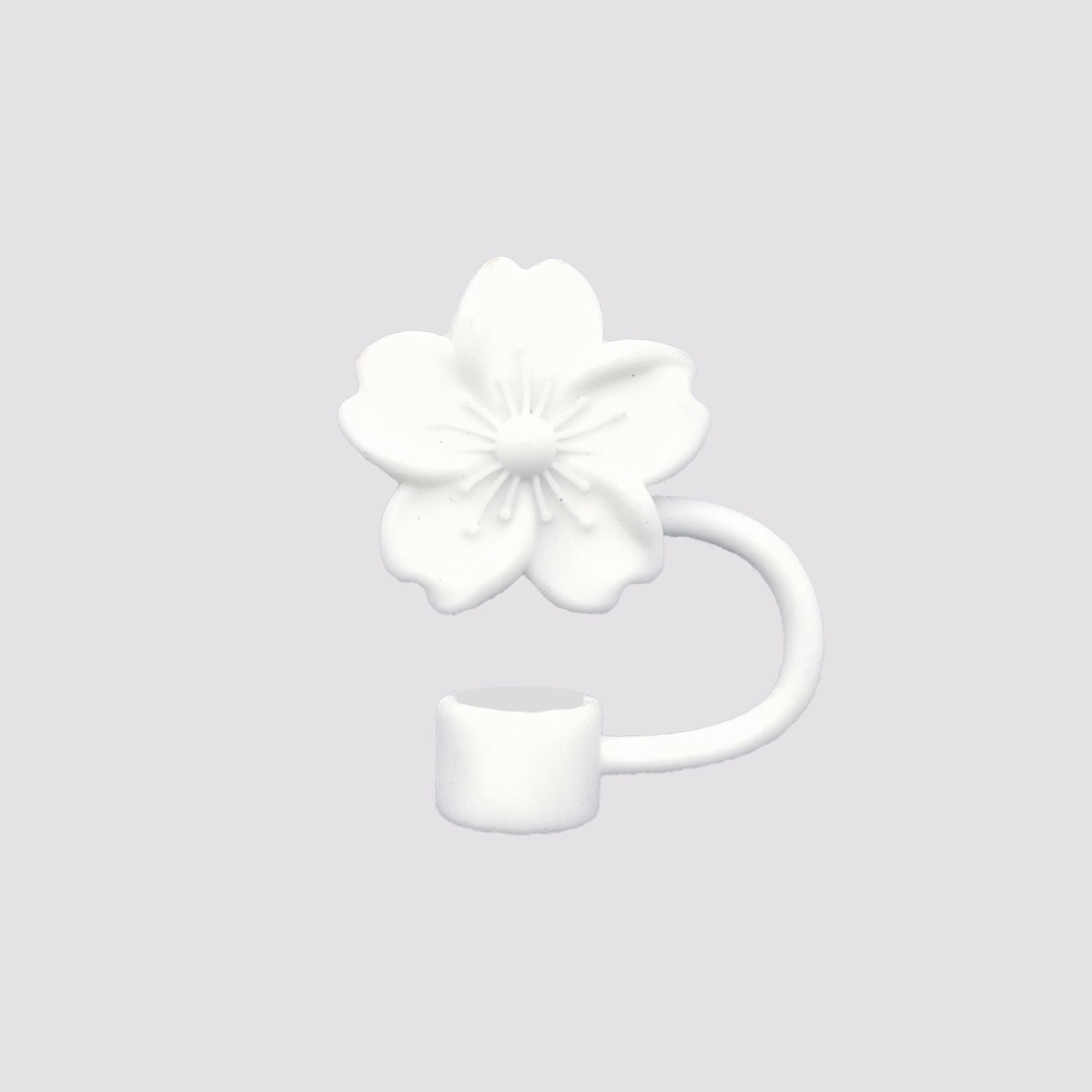 순백의 베고니아