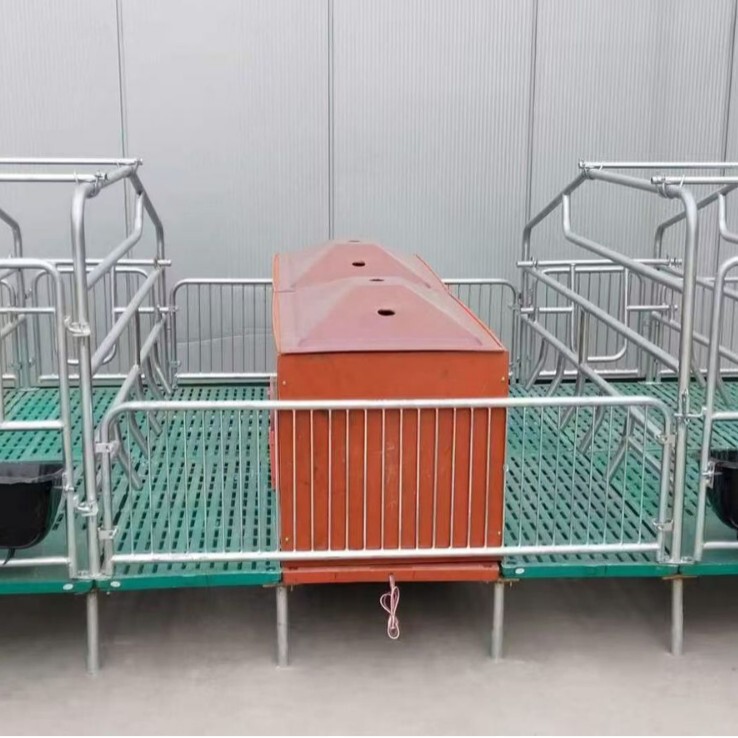 厂家现货母猪复合产床猪用产保两用双体产床母猪分娩栏全复合 仔|undefined