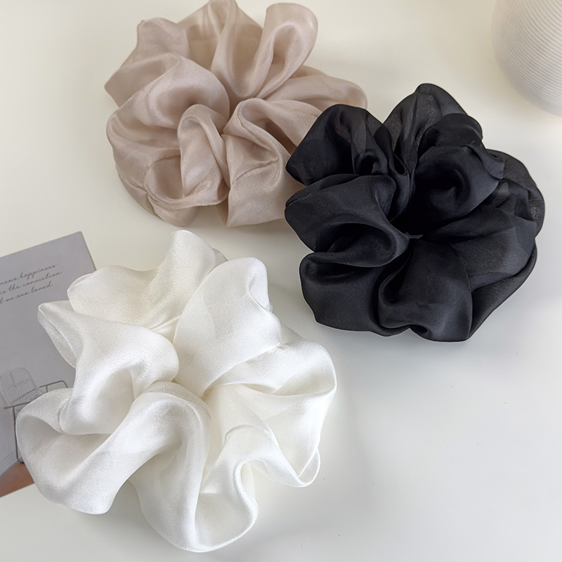 20250219-2025_02_19_10_18_IMG_