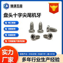 圆头盘头十字尖尾机牙螺丝精密微型十字槽眼镜钟表尖尾小螺丝钉