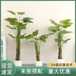 ���͸߷���Gֲ����Ұ���~�پGֲ�҃��ⱱ�W������ԾӼ��쾰�b�