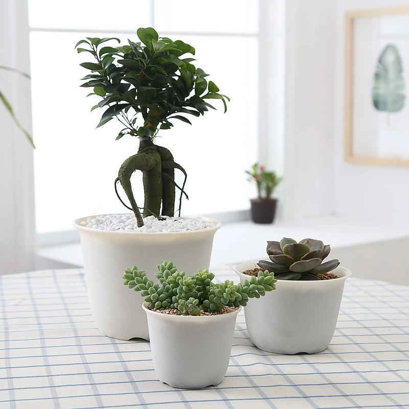 Круглый матовый цветочный горшок из смолы небольшой размер мясной завод Творческий пластиковый большой диаметр большой цветочный горшок для суккулентов оптом