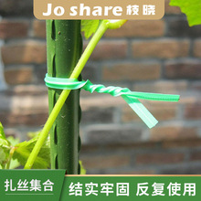 ֦�� ���z�ϼ� �@ˇ�и�������Ƭ���������������zdiy����һ����