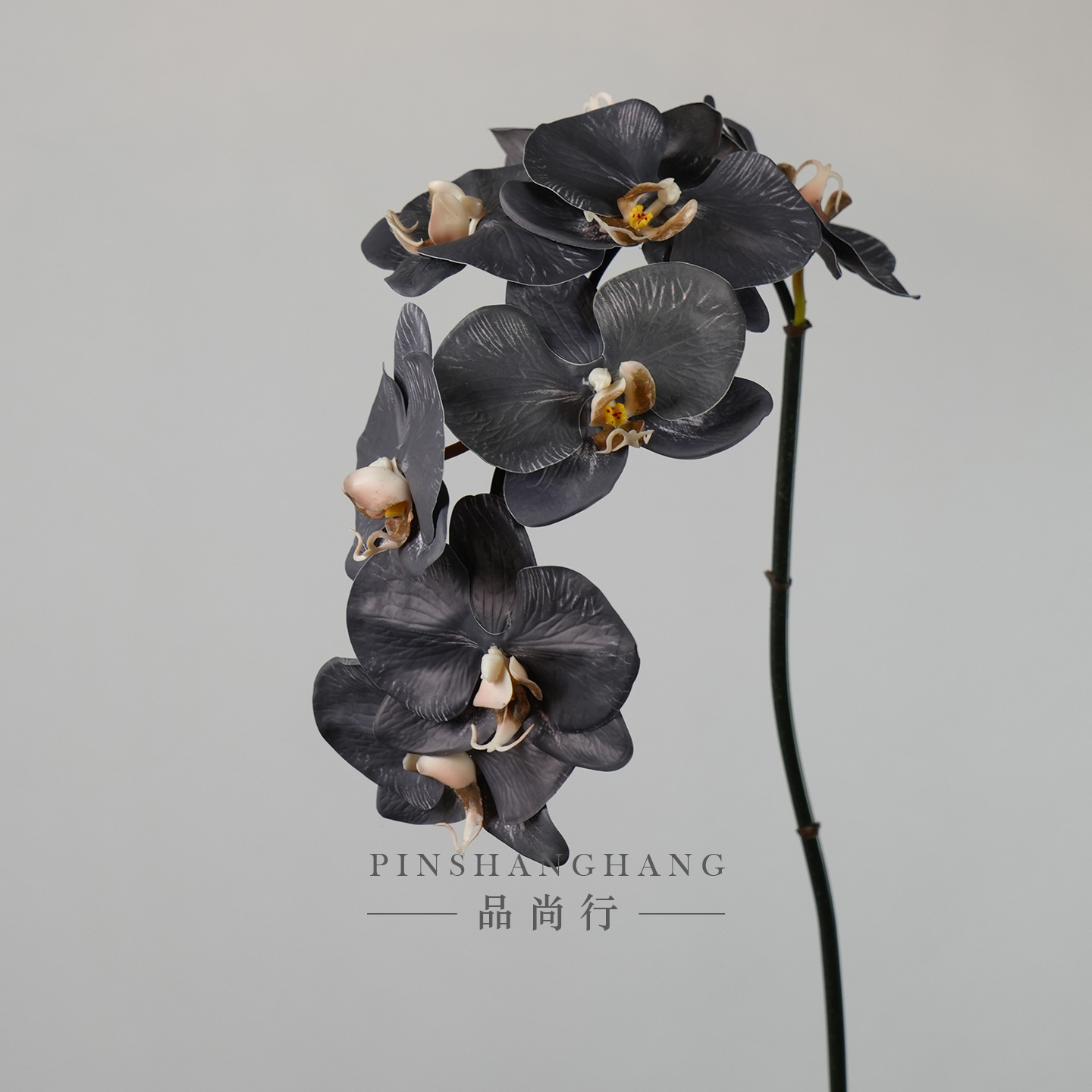 검은색