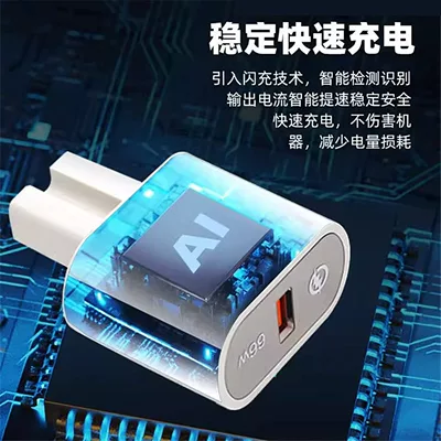 Mobil şarj cihazları Converter Plug 48V60V72 Volt 100V