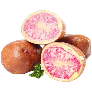 ����߲��������r�������]�������߲ʼt������һ�����l