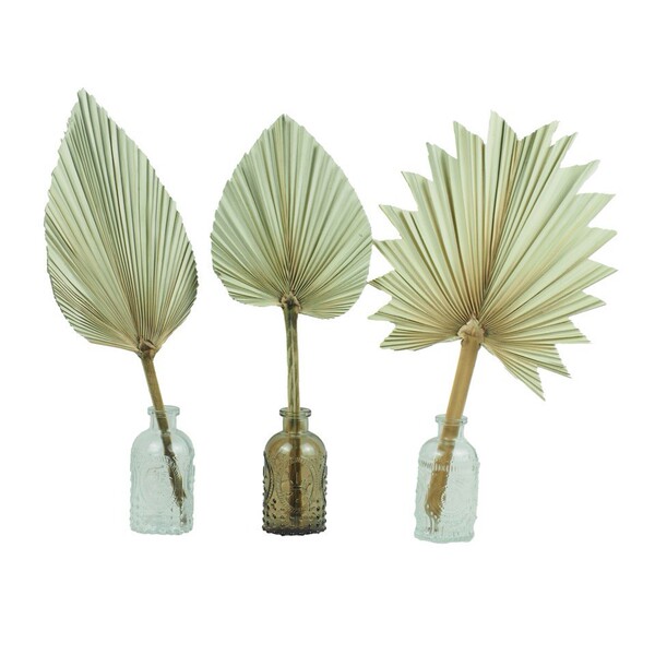 Palm fan blades dry flowers
