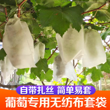 无纺布葡萄水果套袋子  防鸟虫袋透气水果保护梨子套袋专用批发