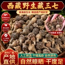 正宗西藏野生藏三七中药材批发原产无硫精选100g高海拔特产天然产