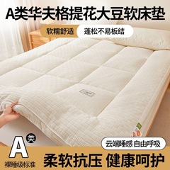 A类针织大豆纤维床垫立体提花软垫家用榻榻米床褥子直播批发代发