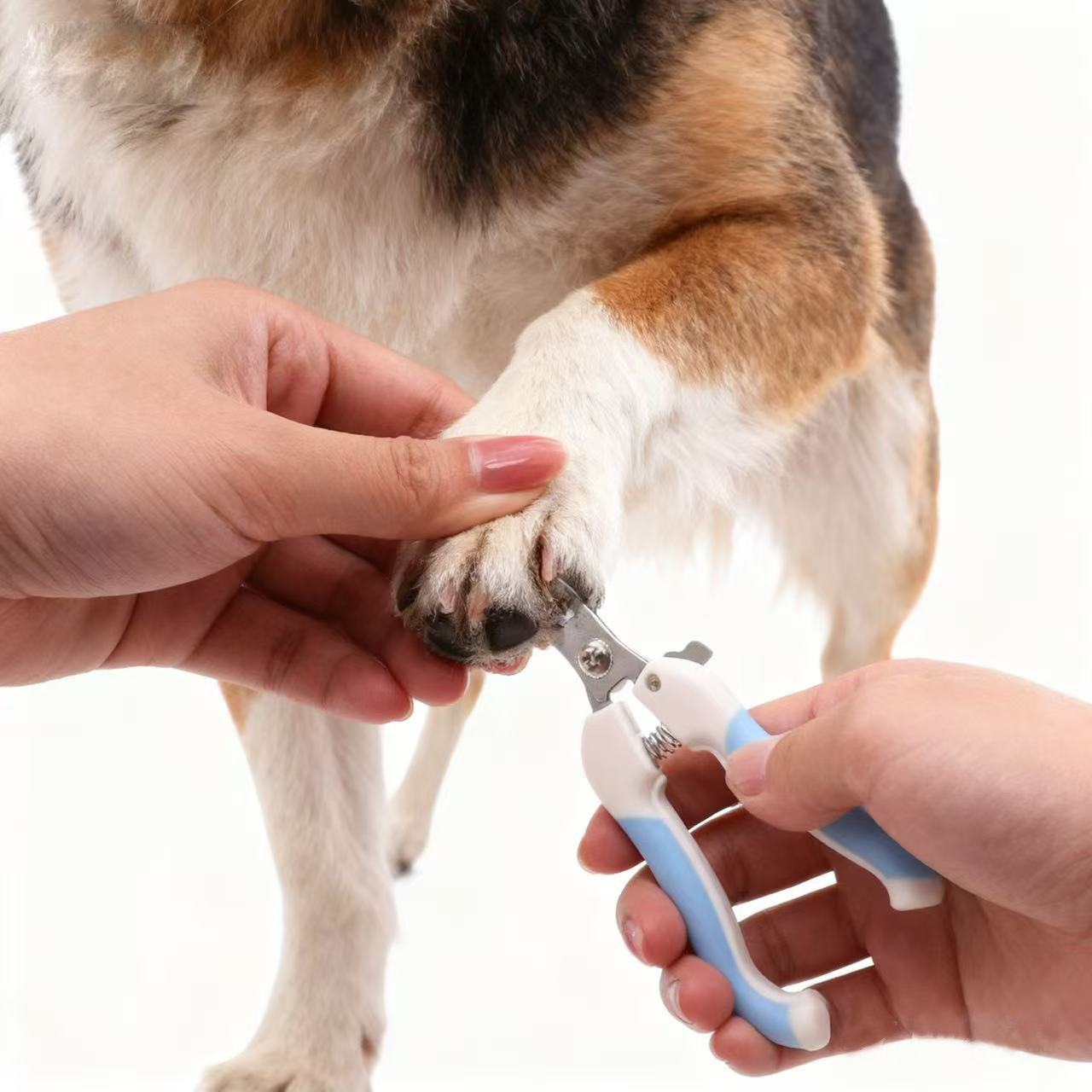 Cortauñas y Lima para Mascotas, Herramienta Especial para Recortar las Uñas de Perros, Cortauñas para Patas de Gato, Cortauñas para Gatos.