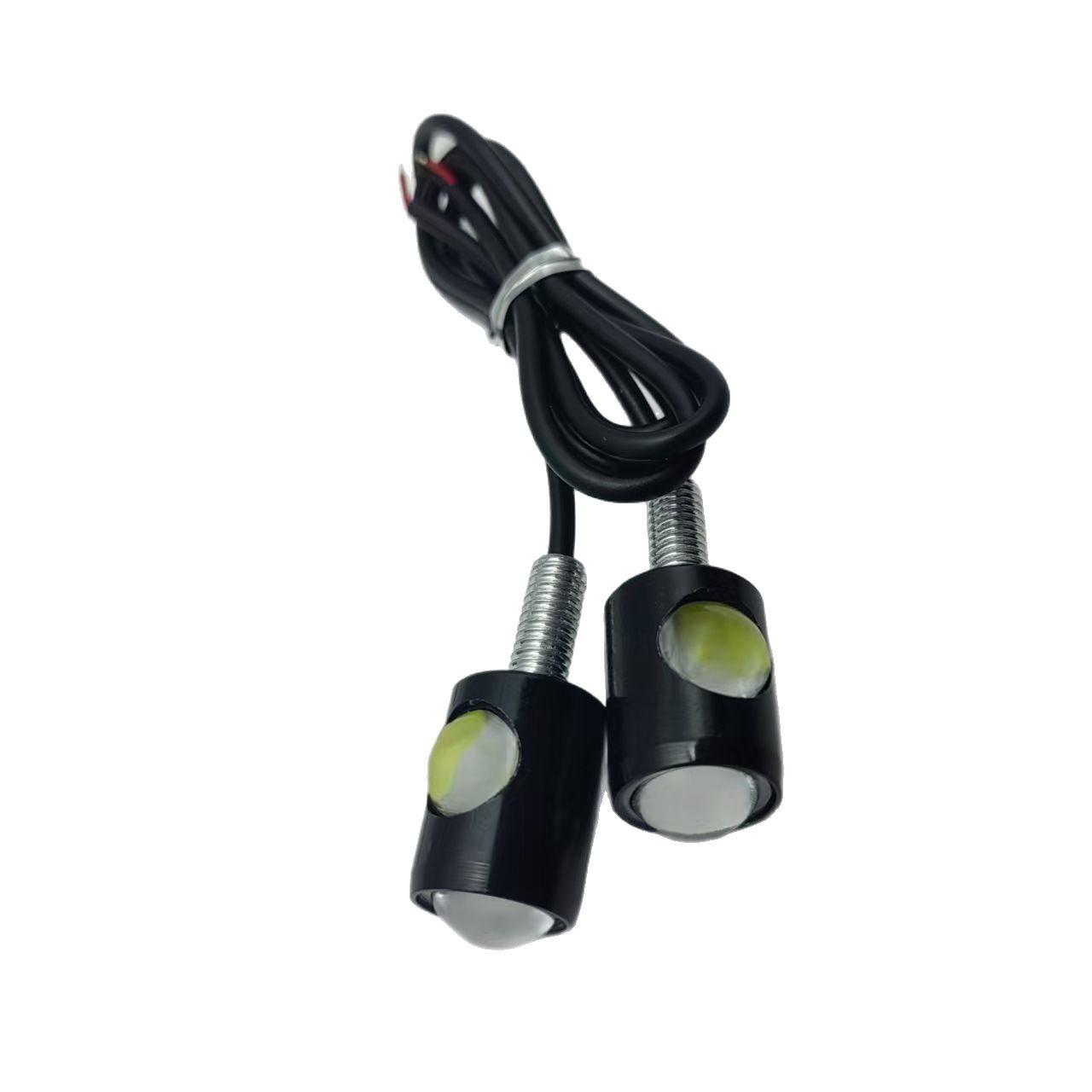 2025-01-19 09:45:58.jpg