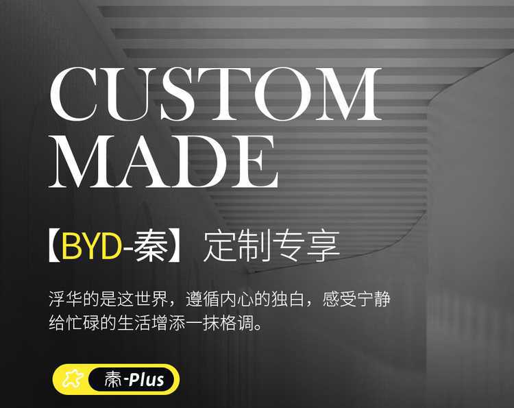 24 Byd Qin Plusdmi Seat Covers All-Inclusive for All Seasons 23 Plus/Ev Car Seat Cushion Special Seat Covers