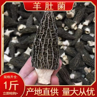 云南剪柄羊肚菌干货大号头茬细纹无沙山珍食用菌菇酒店餐饮煲汤批