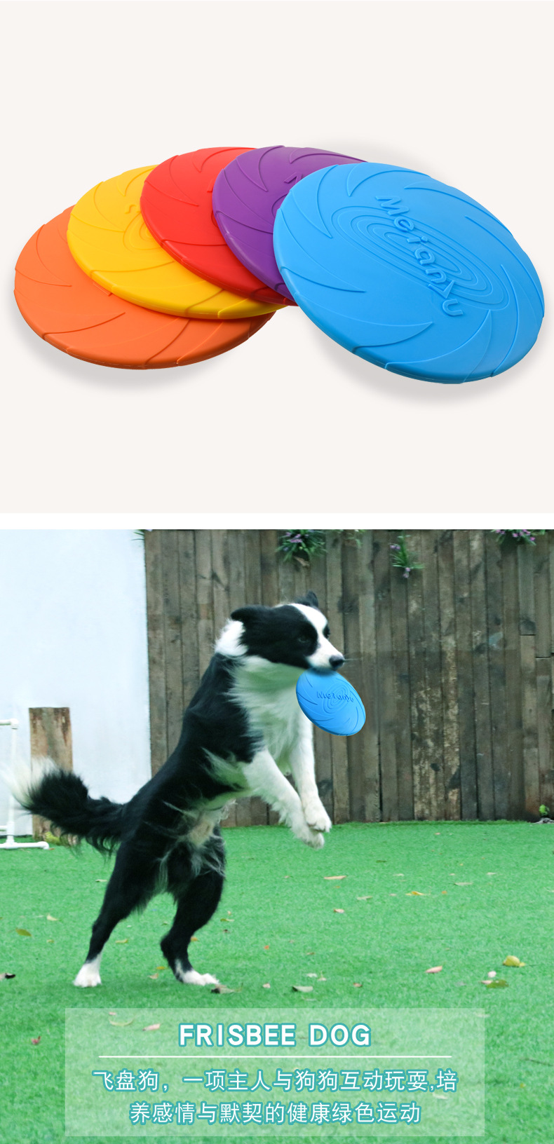 狗狗飞盘_12.jpg