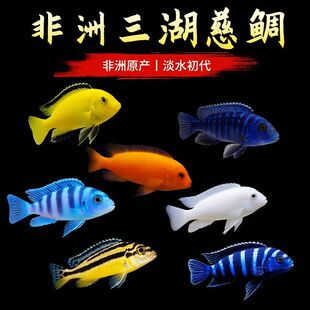 ���������~�R���{������޺ھ������{���R�Ꭷ�^�p�~���wС�͵�ˮ