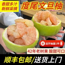 福建度尾文旦柚子红心柚子新鲜当季现摘孕妇应季时令