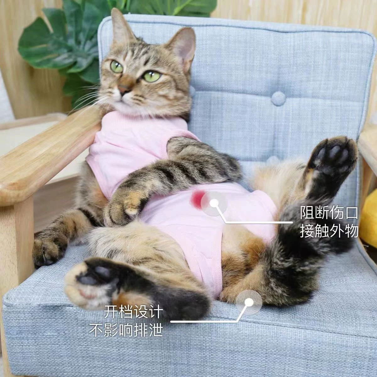 Одежда для стерилизации из чистого хлопка для кошек, дышащая одежда для отлучения от груди, послеоперационная одежда, не лизающая короткая тонкая одежда для домашних животных Тедди
